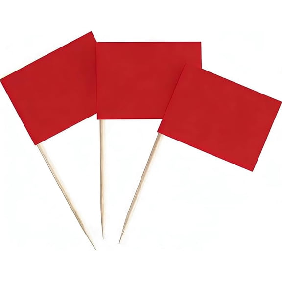 100 Pack Blank Toothpick Flag Small Mini Labeling Marking DIY Stick Flags for Cocktail Fruit Cupcakes Toppers Food Decorations,(Red)