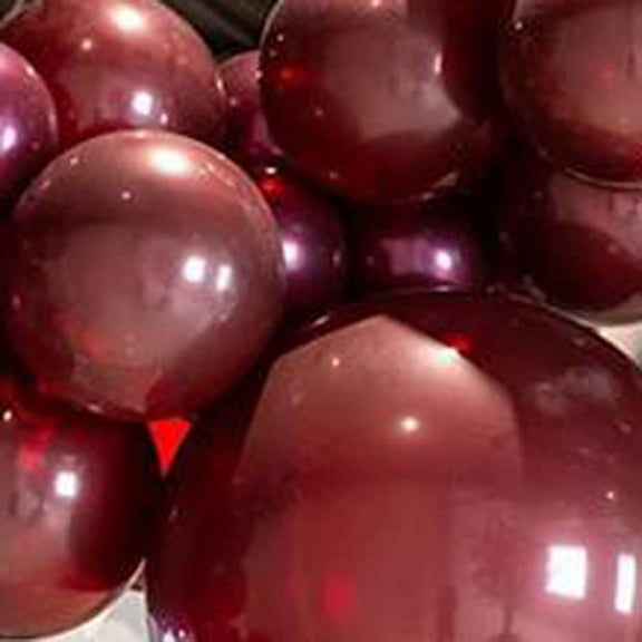 100 Pack Burgundy Balloons Different Sizes 18 12 10 5 Inch KIRIKOU Party Balloons for Birthday Valentines Baby Shower Bridal Wedding Party Decors