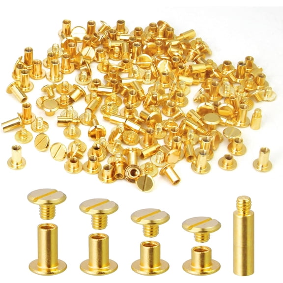 100 Pack Chicago Screws and Extention Posts for Binding Extending Scrapbook Photo Album Refill Pages Compatible with Pioneer Photo Albums, Golden (M5 x 4/6/8/10mm Book Screws)