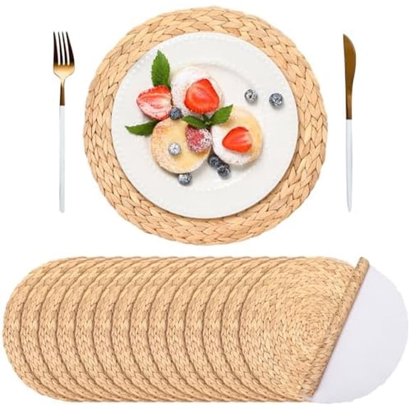 100 Pack Disposable Paper Placemats Bulk 13 Inch Paper Placemats Disposable Charger Plates Table Place Mats for Dinner Wedding Birthday Summer Spring Party Dinner Tableware