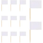 100 Pack Mini Food Labels Flag DIY Blank Toothpick Food Flag Cupcake Topper with Wooden Sticks for Party Bar Sport Events
