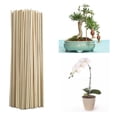 thumbnail image 1 of 100 Pack Natural Bamboo Plant Stakes, Wood Plant Supports, Wood Garden Sticks for Plants Tomato Floral Potted, Wooden Sign Posting Garden Sticks, 1 of 8