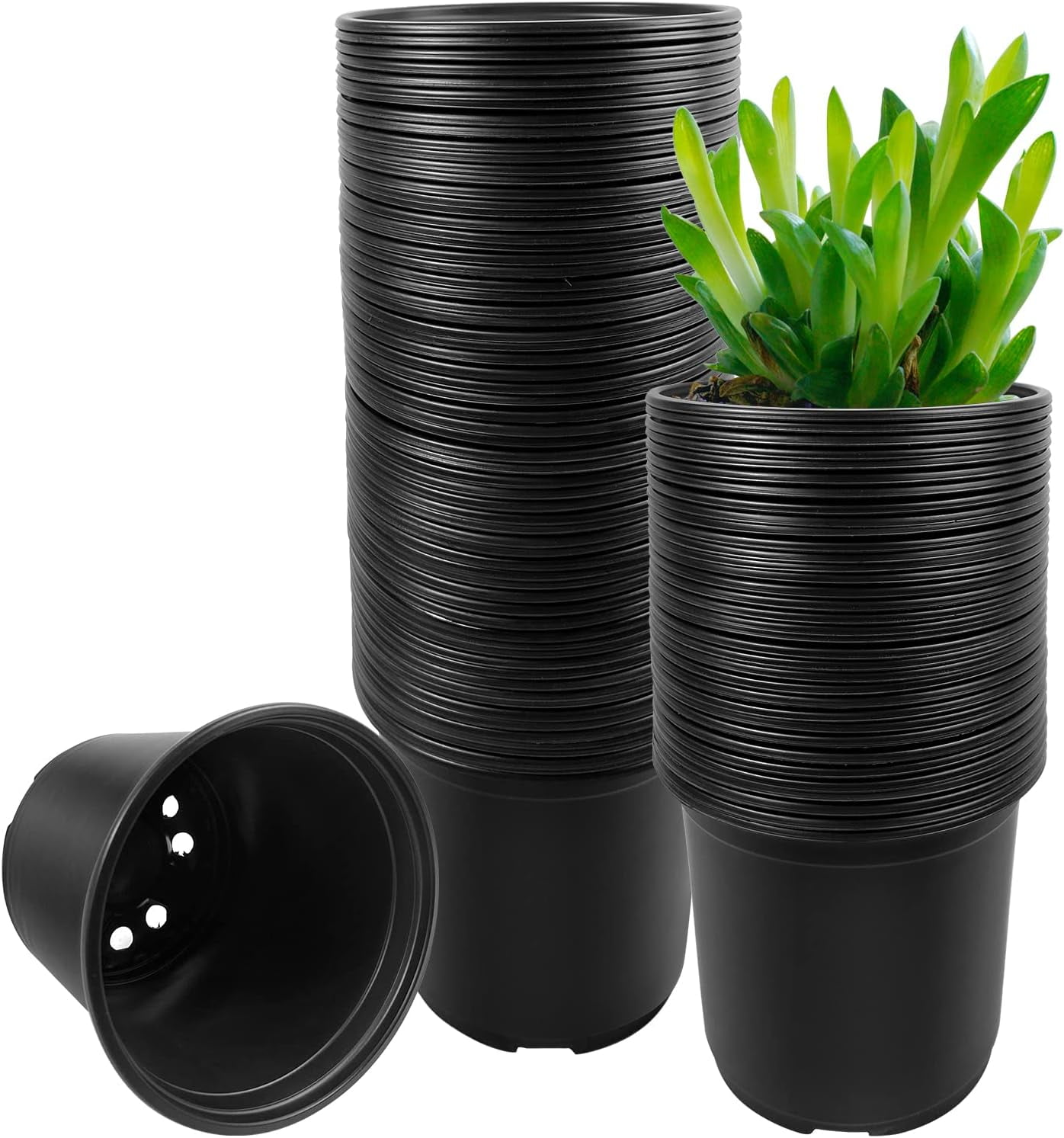 Whonline 40er-Set Pflanztöpfe – 3/4/5/6 Zoll, Mit Drainagelöchern, Schwarz, Aus Stabilem Kunststoff