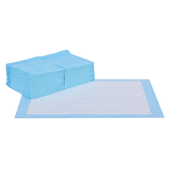100 Pack Pet Pee Pads Disposable Super Absorbent Dog Training Pad with Quick-Dry Surface for Dog Cat, 13 x 17.72 Inches
