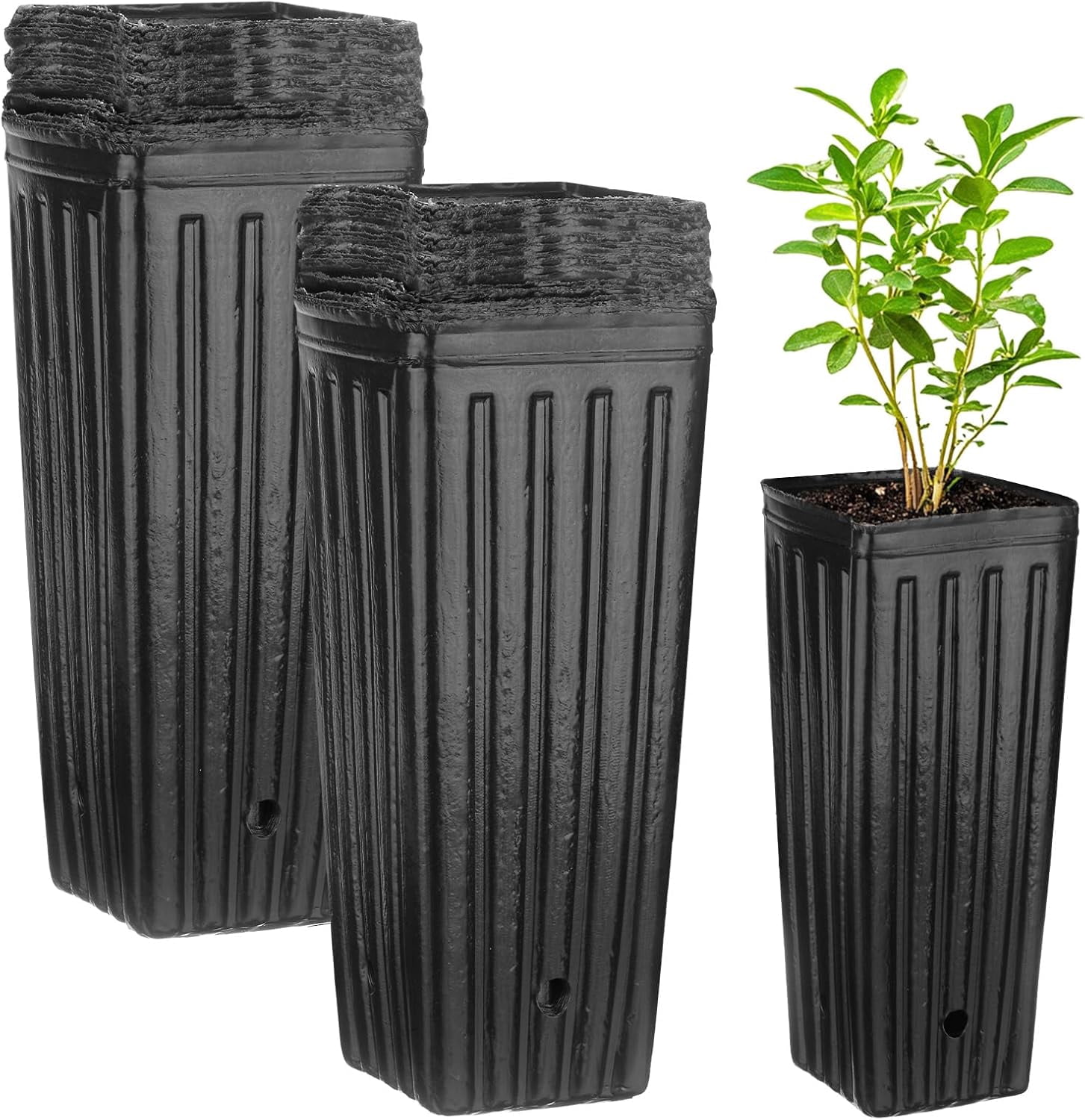 100-Pack Plant Nursery Pots, 4.72x4.72x9.84 Inch Plastic Deep Growing Nursery Pots Succulent Planter Flower Tree pots with Drainage Holes for Indoor Outdoor Gardening [Black]