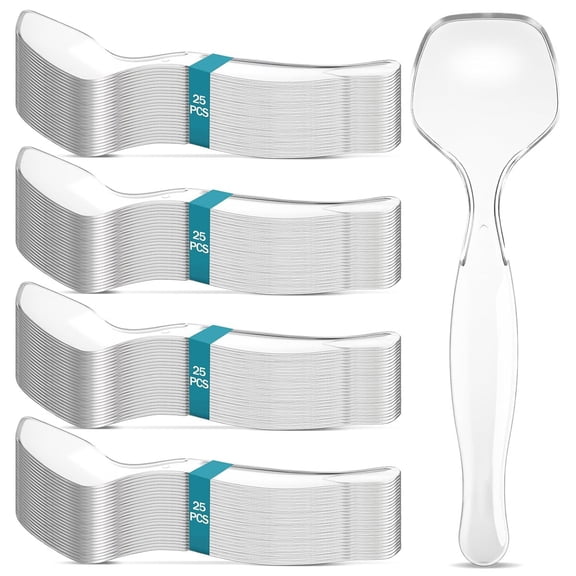 100 Pack Plastic Serving Spoons