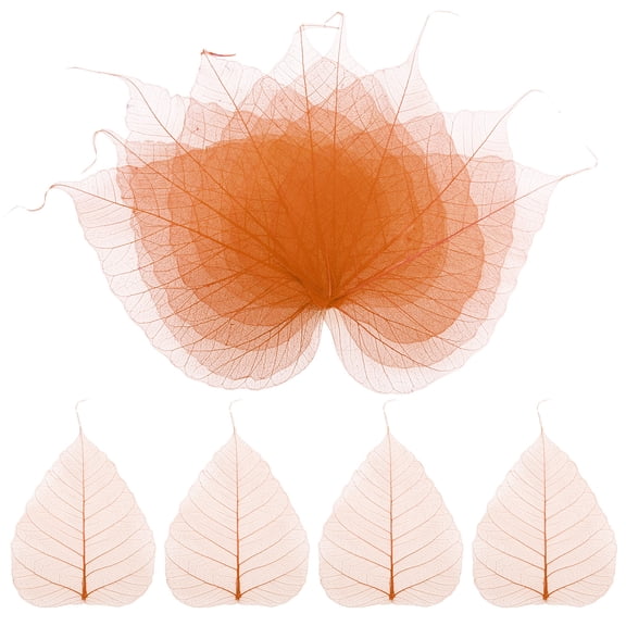 100-Pack Skeleton Leaves, Natural Dried Pressed Bodhi Skeleton Leaves Vein [13cm, Nude]