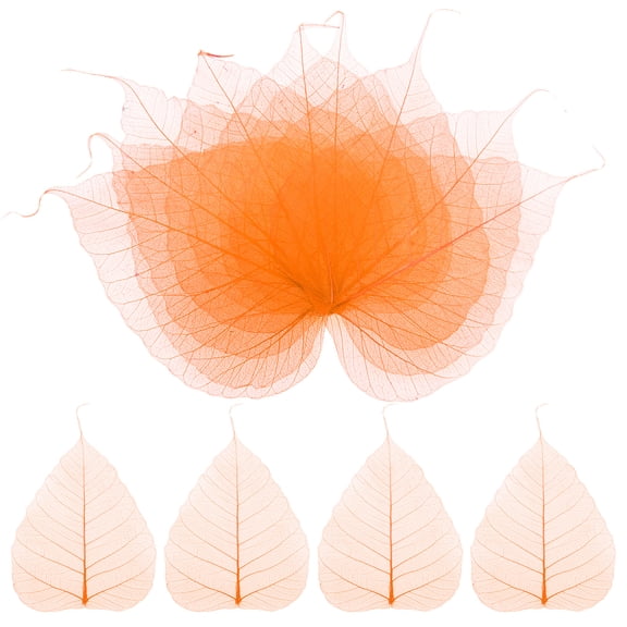 100-Pack Skeleton Leaves, Natural Dried Pressed Bodhi Skeleton Leaves Vein [13cm, Orange]