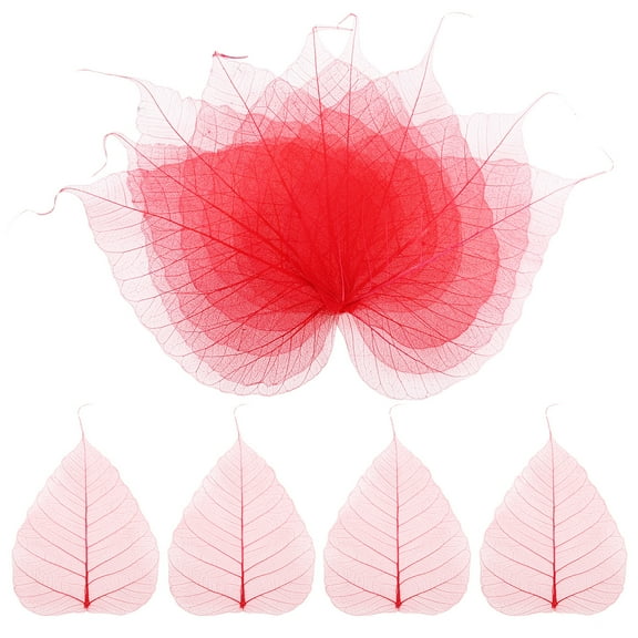 100-Pack Skeleton Leaves, Natural Dried Pressed Bodhi Skeleton Leaves Vein [13cm, Red]
