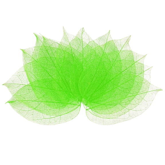 100-Pack Skeleton Leaves, Natural Rubber Tree Dried Pressed Leaves Vein [7-9cm, Green]