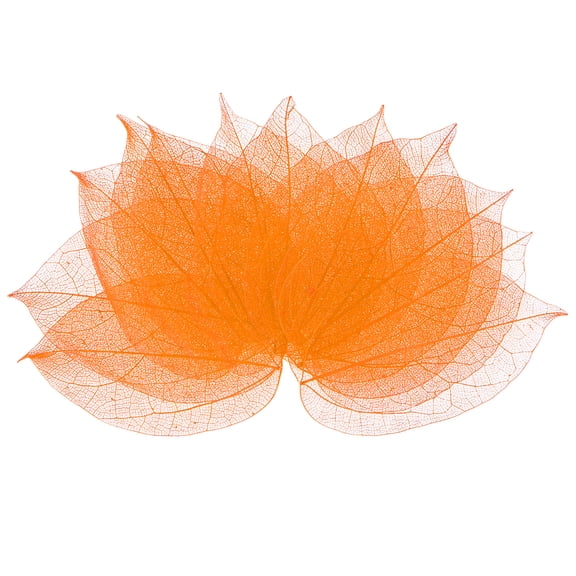 100-Pack Skeleton Leaves, Natural Rubber Tree Dried Pressed Leaves Vein [7-9cm, Orange]