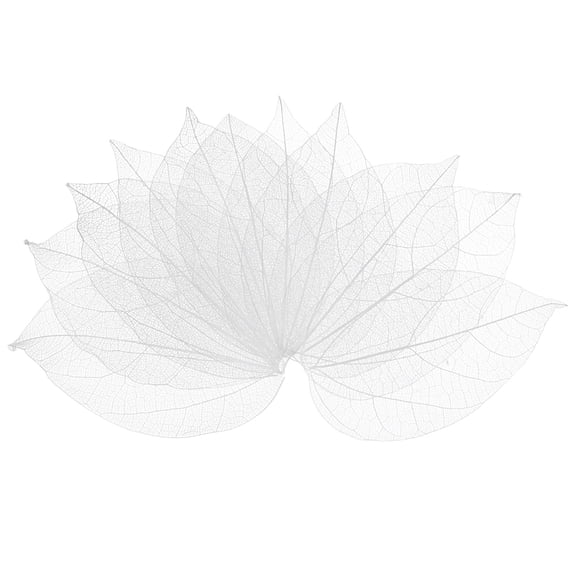 100-Pack Skeleton Leaves, Natural Rubber Tree Dried Pressed Leaves Vein [7-9cm, White]