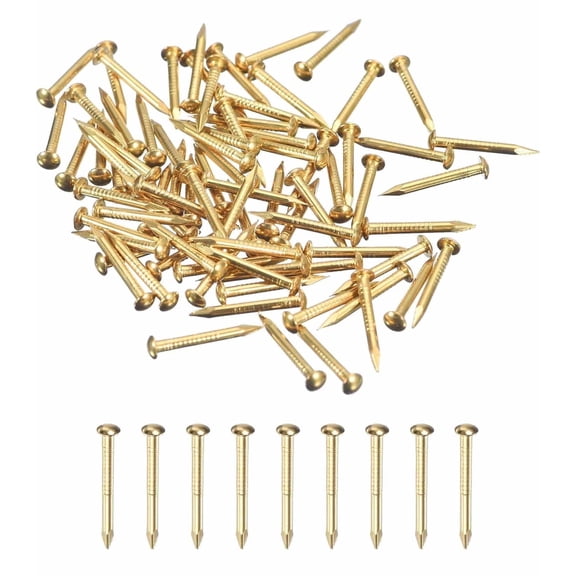 100 Pcs Small Tiny Nails, 1.2mm x 15mm Brass-plated Precision MIni Nails Hardware Round Head for Wooden/DIY Crafts Decorative/Household Accessories/Picture Hanging