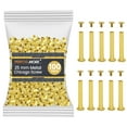 thumbnail image 1 of 100 Pack of Chicago Screw Post Binding Screws, 25mm Brass Plated Metal Screw Posts for Scrapbooking, Photo Albums, Binding Leather Repair, 1 of 8