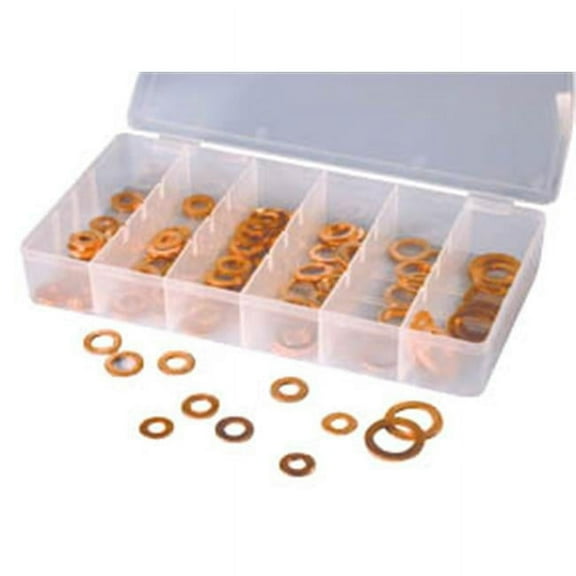 100 Pc. Copper Washer Assortment