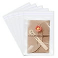 100 Pcs 6" x 9" Clear Plastic Cellophane Bags Resealable Self