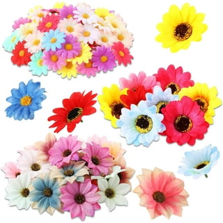 Pack of 10 Flower Crafting Safety Eyes Mini Graduation Caps DIY Materials –  Floral Supplies Store