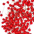 thumbnail image 1 of 100 Pcs Artificial Holly Berries for Wreath Decor Fake Red Berry Branches for Christmas Tree Home Holiday Decoration Wedding Garland DIY Crafts Decor (10mm), 1 of 3
