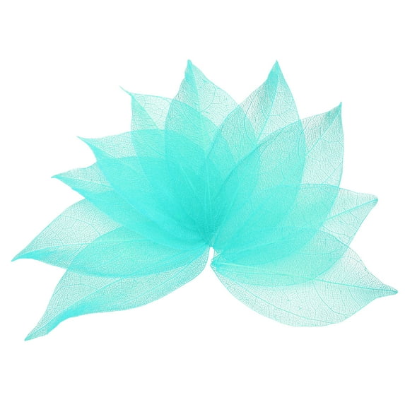100 Pcs Blue Skeleton Leaves, 2"- 3" Rubber Tree Scrapbooking Dried Pressed Leaves Vein for Photo Albums Crafts