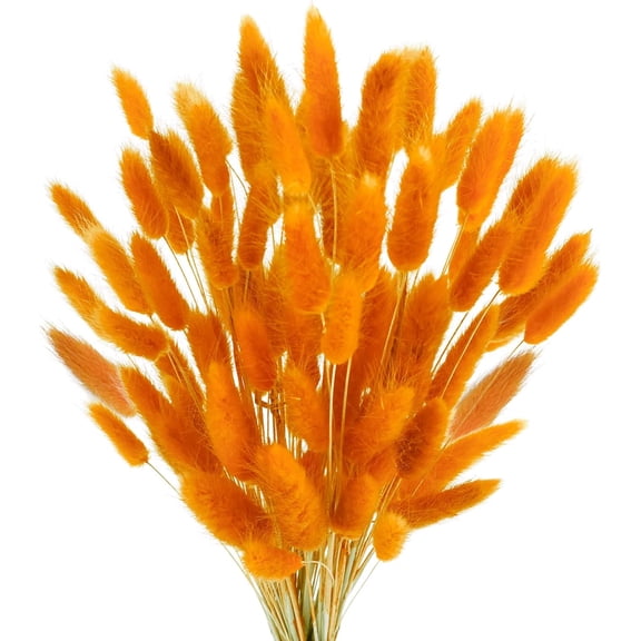 100 Pcs Bunny Tails Dried Flowers, Natural Dried Bunny Tails Grass Dried Lagurus Ovatus Rabbit Tail Grass for Flowers Arrangements DIY Craft Wedding Party Home Table Decor (Orange)