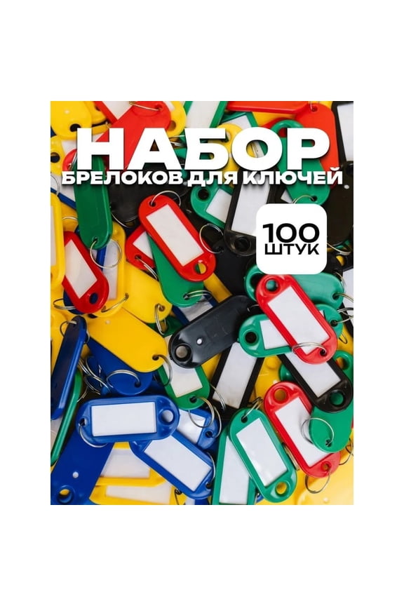 100 Pcs Colorful Plastic PP Key Tags with Detachable Clips  & Home Key Management Key Ring Markers (Random Colors)