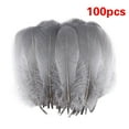 thumbnail image 1 of 100 Pcs Craft Feathers Bulk Goose Feathers Natural Bulk Real Goose Feathers for Jewelry Cosplay and Clothing Accessories for Crafts DIY Cosplay Wedding Party Decoration Goose Nagoire Feathers, Gray, 1 of 2