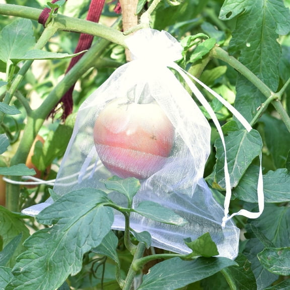 100 Pcs Fruit Protection Bags,fruit Netting Bags for Fruit Trees Fruit Mesh Bag,with Drawstring Netting Barrier Bags for ,Fruit,Flower , 10cmx12cm White
