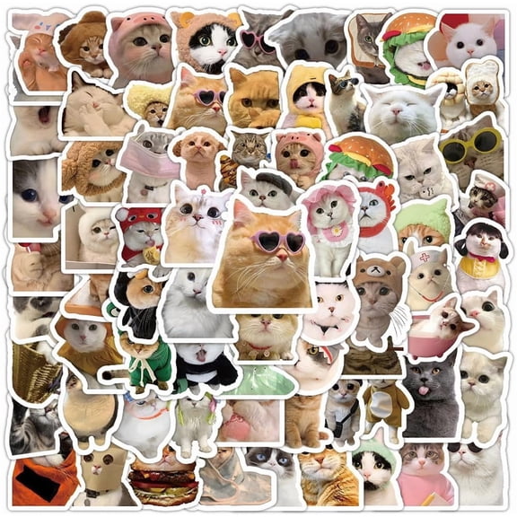 100 Pcs Funny Cat Stickers Cute Cat Meme Stickers Funny Kitten Sticker for Adults Kitty Vinyl Waterproof Stickes for Water Bottles Laptops Phone Luggage Guitar