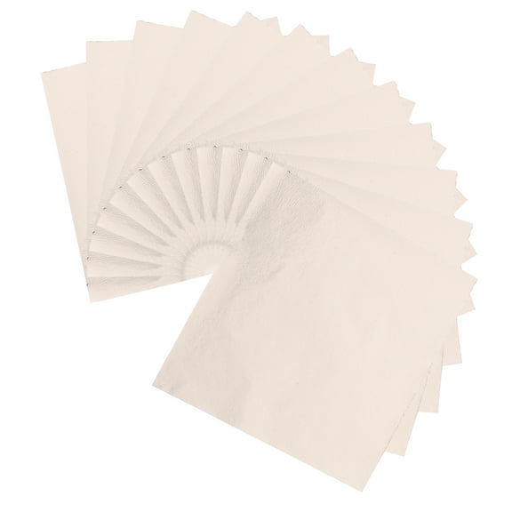 100 Pcs Gold Foil Flakes for Resin Crafts Picture Frame Stamping Square Fuse Silver