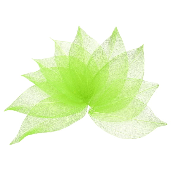 100 Pcs Grass Green Skeleton Leaves, 2"- 3" Rubber Tree Scrapbooking Dried Pressed Leaves Vein for Photo Albums Crafts