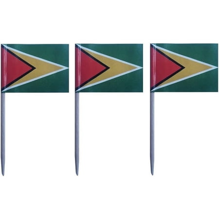 100 Pcs Guyana Flag Guyanese Toothpick Flags, Small Mini Stick Cupcake Toppers England Flags,Country Picks Party Decoration Celebration Cocktail Food Bar Cake Flags