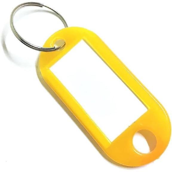 100 Pcs Key Tags with Labels, 10 Colors Key Fobs Labels ID Keyring Tags with Split Rings for Luggage Pet Name Memory Stick Tags