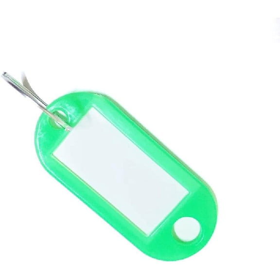 100 Pcs Key Tags with Labels, 10 Colors Key Fobs Labels ID Keyring Tags with Split Rings for Luggage Pet Name Memory Stick Tags