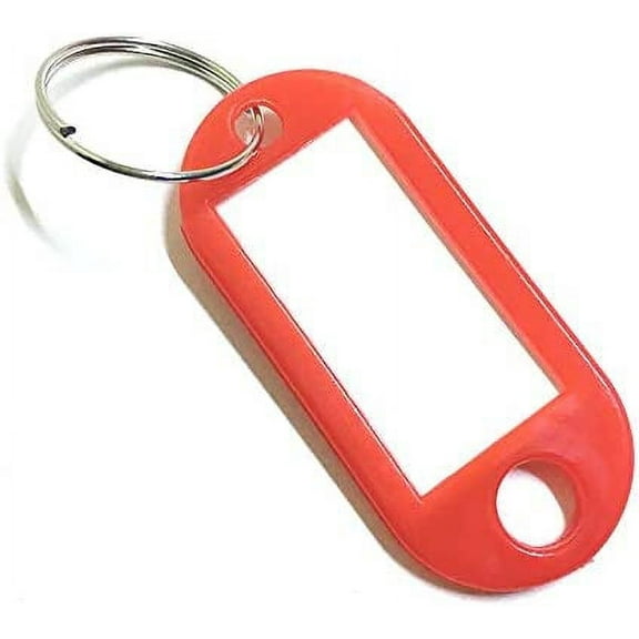 100 Pcs Key Tags with Labels, 10 Colors Key Fobs Labels ID Keyring Tags with Split Rings for Luggage Pet Name Memory Stick Tags