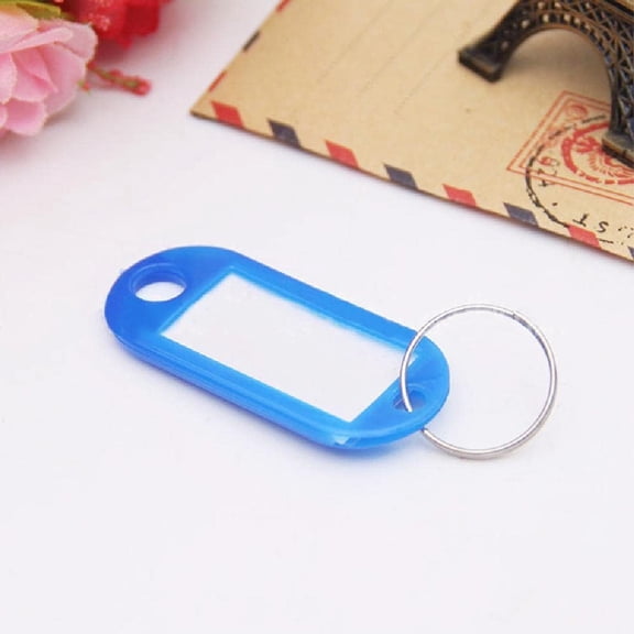 100 Pcs Key Tags with Labels, 10 Colors Key Fobs Labels ID Keyring Tags with Split Rings for Luggage Pet Name Memory Stick Tags
