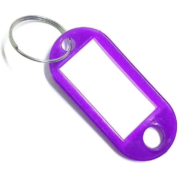 100 Pcs Key Tags with Labels, 10 Colors Key Fobs Labels ID Keyring Tags with Split Rings for Luggage Pet Name Memory Stick Tags