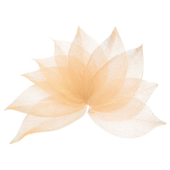 100 Pcs Light Orange Skeleton Leaves, 2"- 3" Rubber Tree Scrapbooking Dried Pressed Leaves Vein for Photo Albums Crafts