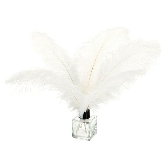 Uxcell 100 Pcs Natural Ostrich Feathers Bulk 8-10 Inch Large Ostrich Feathers for Crafts Home Decoration White