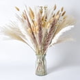 thumbnail image 1 of 100 Pcs Natural Dried Pampas Grass Bouquet, Reed Dried Flowers, 17 Inch Pompas Grass for Flower Arrangements, Bohemian Home Decoration Bouquet, Wedding Flower Decoration Bouquet, 1 of 6