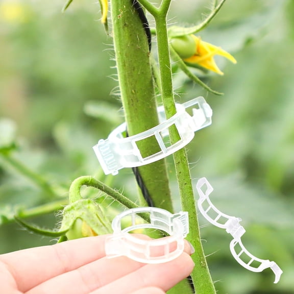 100 Pcs Plant Support Clis, Thickened Plant Fixing Clip Plastic Tomato Clips, Plant Support Clips, Garden Vine Clips for Climbing Plants, Tomato, Grape, Plants Stalks