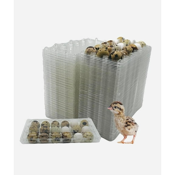 100 Pcs Quail Egg Cartons  18 Cell Small Quail Eggs Basket