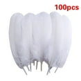 thumbnail image 1 of 100 Pcs Simulated Plumage, Bulk 5-7 Inch for Crafts, Multicolor, DIY Projects, Cosplay, Wedding, Home, Gathering, Festival, Clothing, Hats, Decoration, and Dream Catcher Supplies,White, 1 of 8