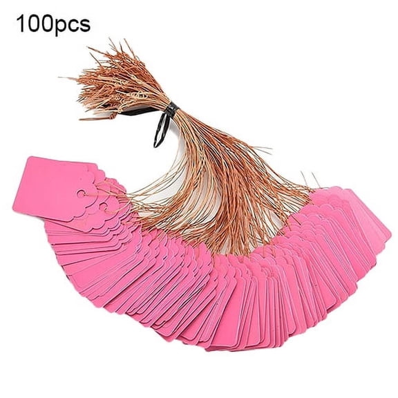 100 Pcs Tear Proof Pvc Tags with Lanyards, Waterproof Blank Product Label Cards for Diy Writing, Reusable Durable Hanging Tags for Merchandise Identification Event Decoration Gift , Listing 3 Set