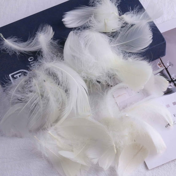 100 Pcs Tiny Pastel Colors Goose Feather 5-8CM Assorted Fluffy Feathers for Crafts Dream Catcher Wedding Home Party Decorations Earrings Making