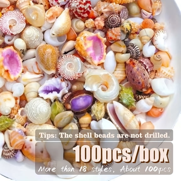 100 Pcs Unpierced Seashell Beads,Bulk Ocean Theme Natural Mixed Seashells Decorations for DIY Jewelry Making Nautical Table Bedrooms Art Gallery Decor Candle Making Scrapbooking Supplies