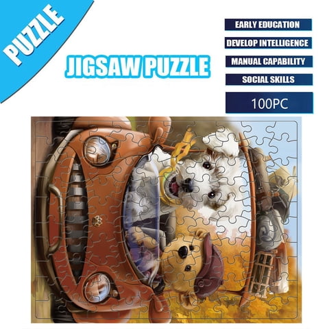 Advanced 100 Piece Brain Teaser Puzzle Set for Family Bonding and Skill Enhancement Ideal Educational Holiday Present