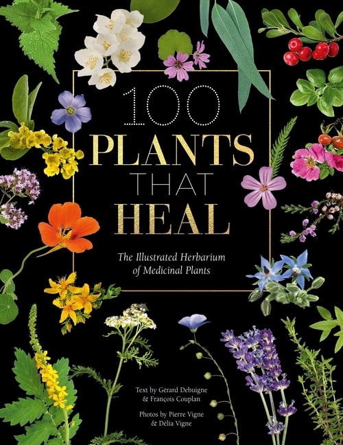 100 Plants That Heal: The Illustrated Herbarium of Medicinal Plants,  (Hardcover)