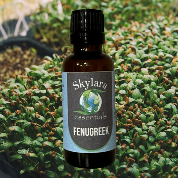 Fenugreek Essential Oil
