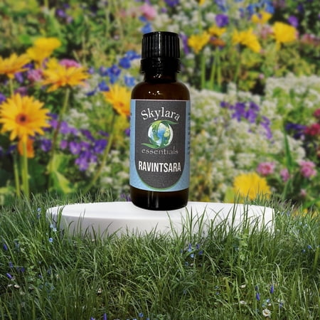 100% Pure and Natural Ravintsara Essential Oil