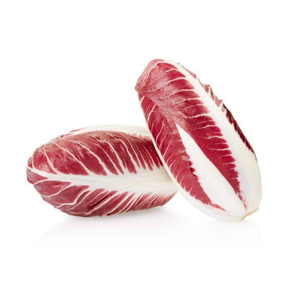 100 RADICCHIO DI TREVISO Radicchio Rose Vegetable Seeds